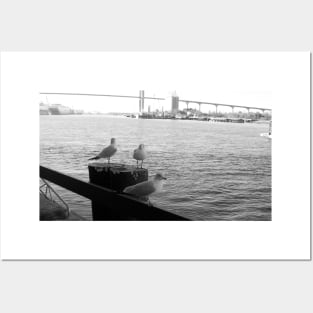 Savannah River Seagulls Posters and Art